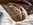 Brotgedicht